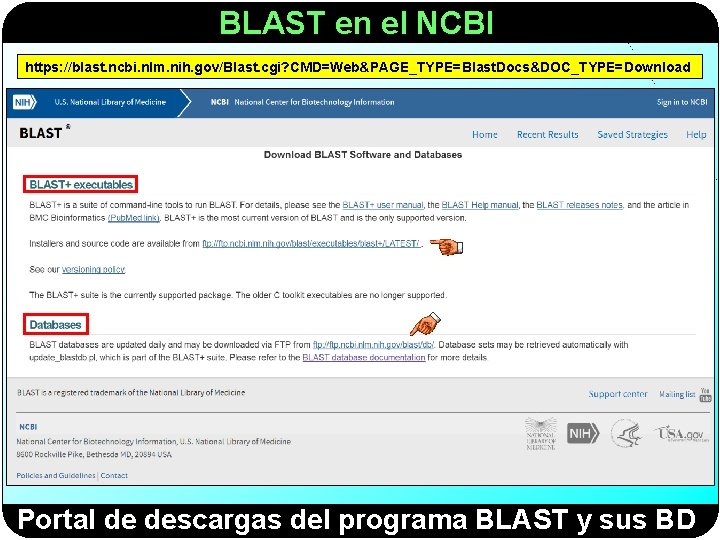 BLAST en el NCBI https: //blast. ncbi. nlm. nih. gov/Blast. cgi? CMD=Web&PAGE_TYPE=Blast. Docs&DOC_TYPE=Download Portal