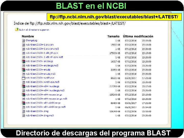 BLAST en el NCBI ftp: //ftp. ncbi. nlm. nih. gov/blast/executables/blast+/LATEST/ Directorio de descargas del