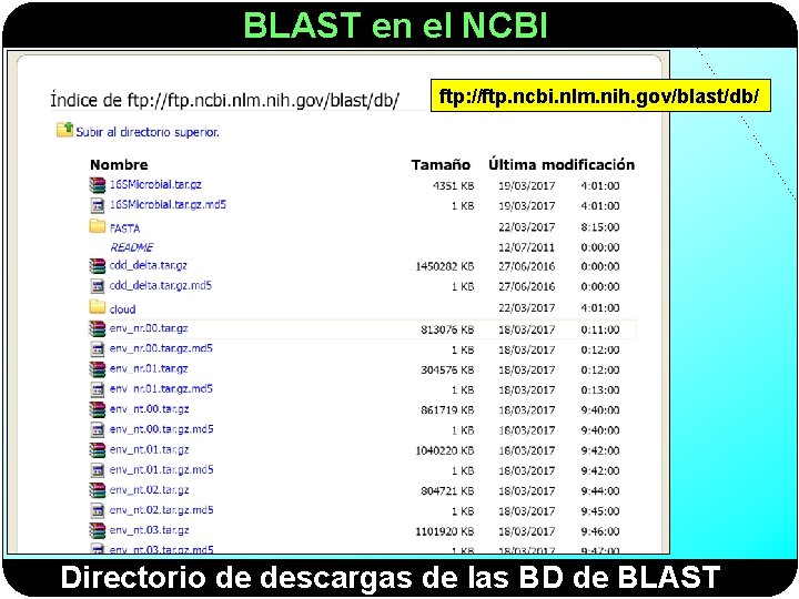 BLAST en el NCBI ftp: //ftp. ncbi. nlm. nih. gov/blast/db/ Directorio de descargas de