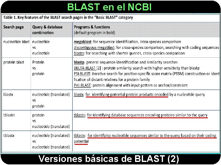 BLAST en el NCBI Versiones básicas de BLAST (2) 