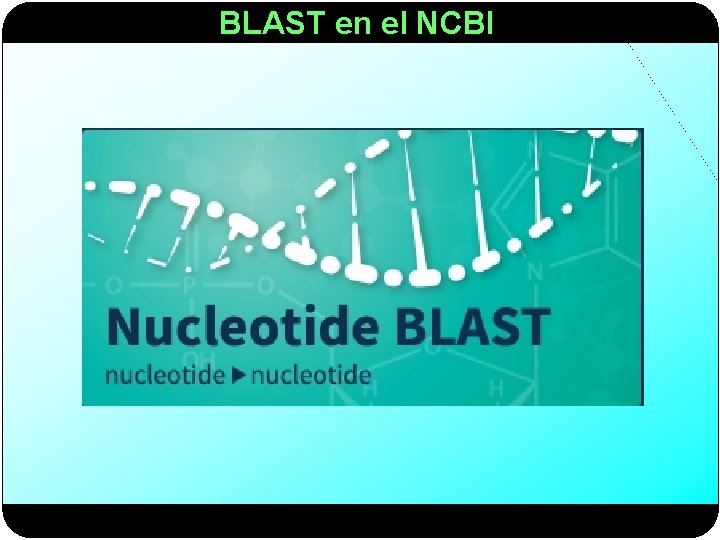 BLAST en el NCBI 