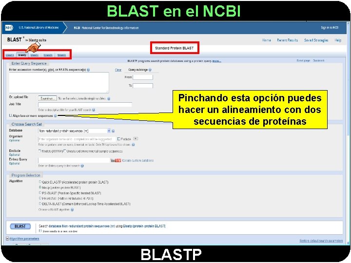 BLAST en el NCBI Pinchando esta opción puedes hacer un alineamiento con dos secuencias
