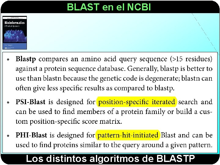 BLAST en el NCBI Los distintos algoritmos de BLASTP 