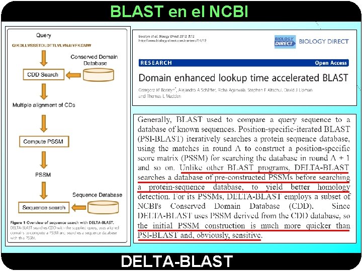 BLAST en el NCBI DELTA-BLAST 