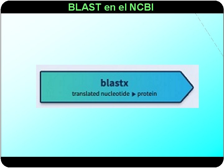 BLAST en el NCBI 