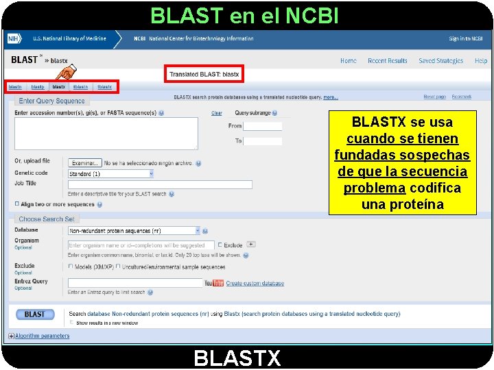 BLAST en el NCBI BLASTX se usa cuando se tienen fundadas sospechas de que
