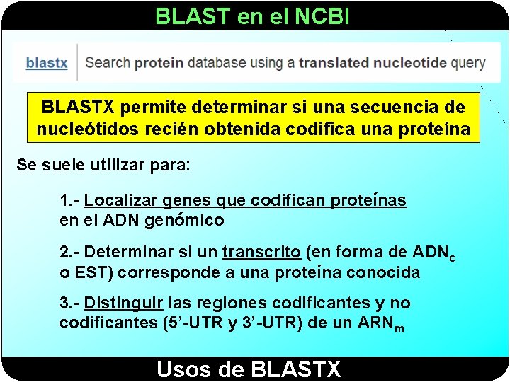 BLAST en el NCBI BLASTX permite determinar si una secuencia de nucleótidos recién obtenida