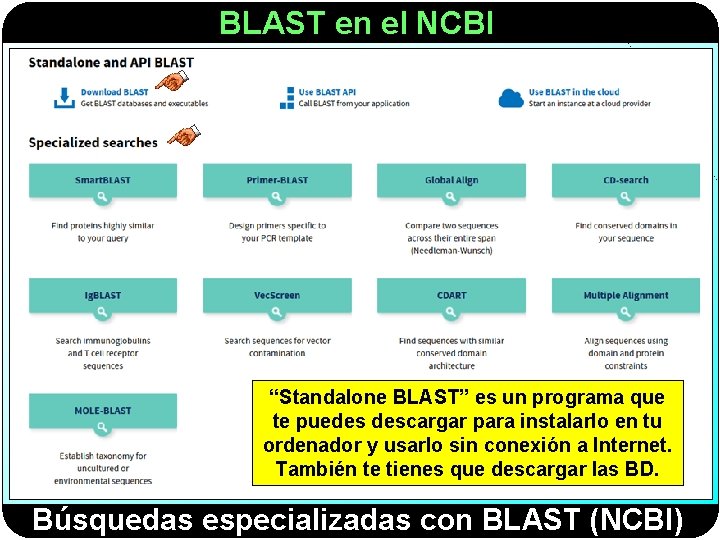 BLAST en el NCBI “Standalone BLAST” es un programa que te puedes descargar para