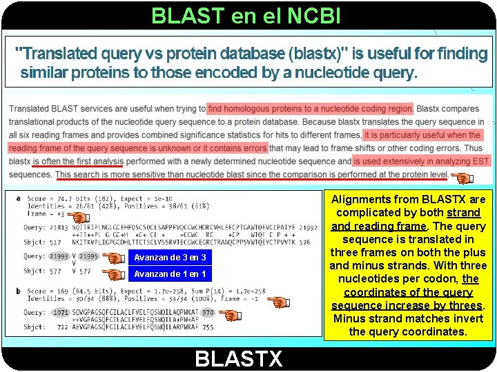 BLAST en el NCBI Avanzan de 3 en 3 Avanzan de 1 en 1
