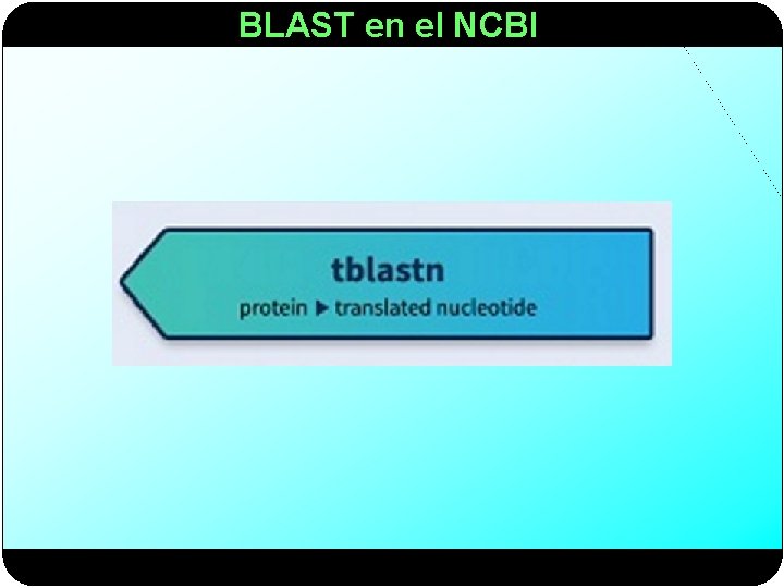 BLAST en el NCBI 