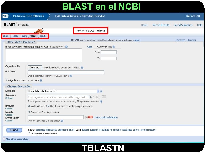 BLAST en el NCBI TBLASTN 