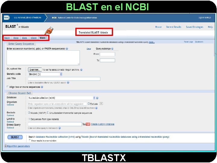 BLAST en el NCBI TBLASTX 