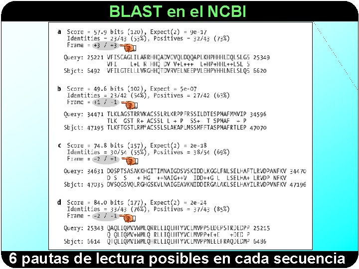 BLAST en el NCBI 6 pautas de lectura posibles en cada secuencia 