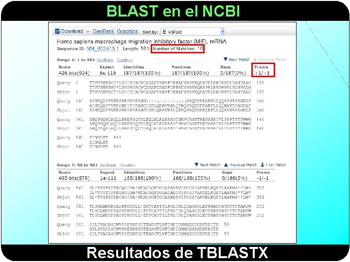 BLAST en el NCBI Resultados de TBLASTX 