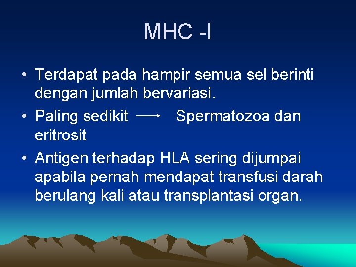 MHC -I • Terdapat pada hampir semua sel berinti dengan jumlah bervariasi. • Paling