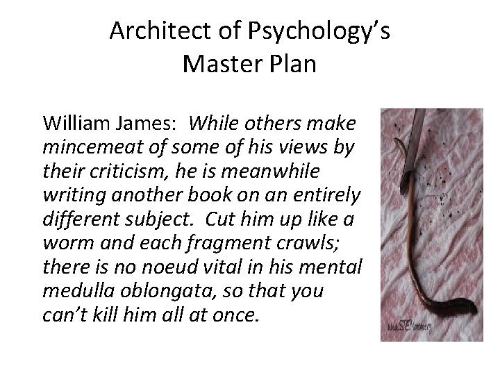Architect of Psychology’s Master Plan William James: While others make mincemeat of some of