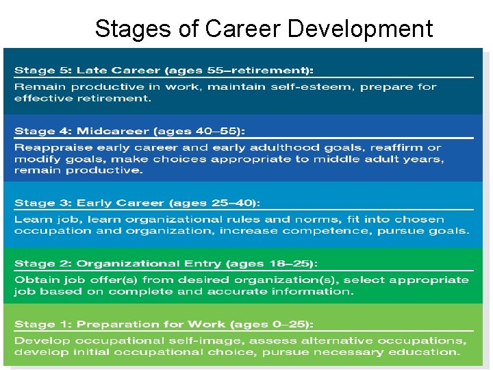 Stages of Career Development  Stages of Career Development