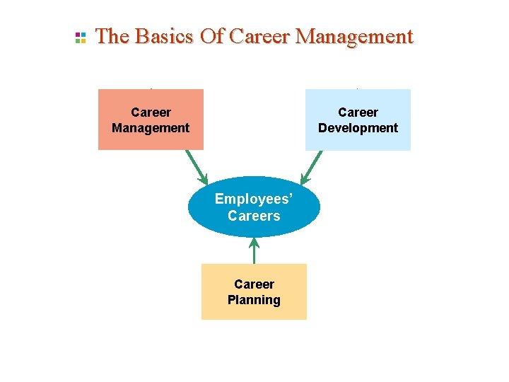 The Basics Of Career Management Career Development Employees’ Careers Career Planning  The Basics Of Career Management Career Development Employees’ Careers Career Planning