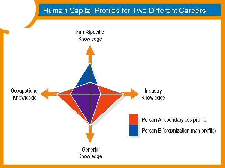 Human Capital Profiles for Two Different Careers  Human Capital Profiles for Two Different Careers