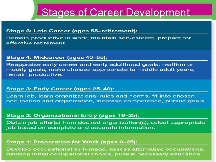 Stages of Career Development  Stages of Career Development