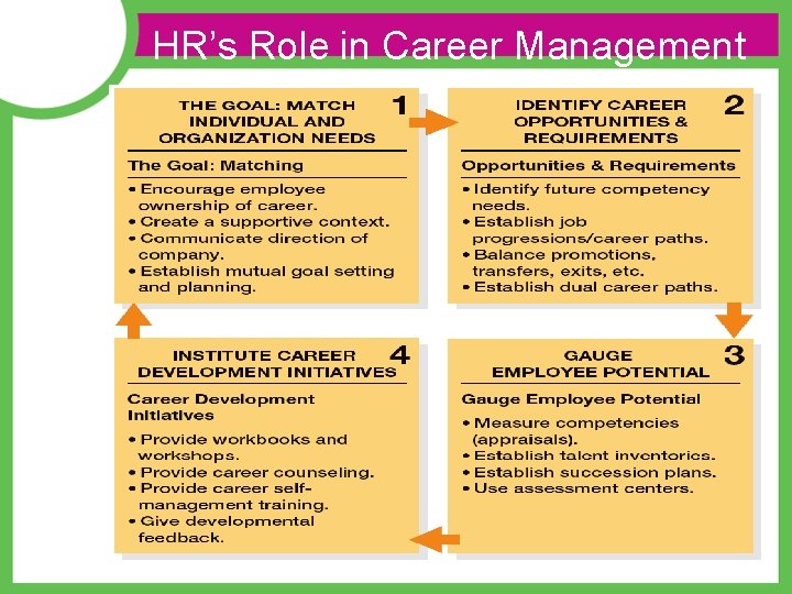 HR’s Role in Career Management  HR’s Role in Career Management