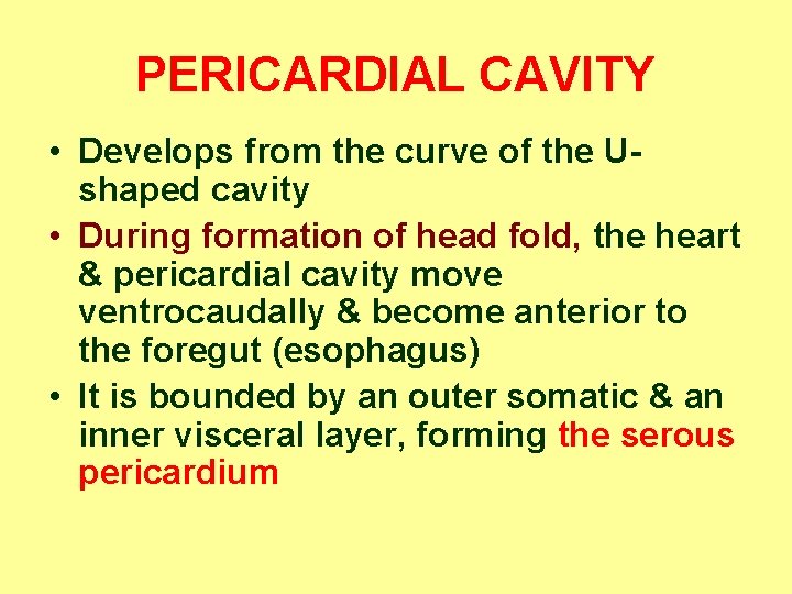 PERICARDIAL CAVITY • Develops from the curve of the Ushaped cavity • During formation