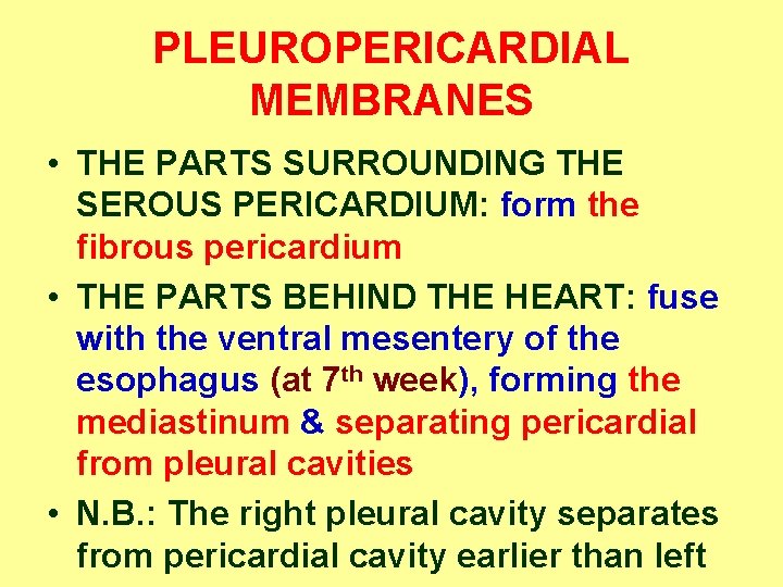 PLEUROPERICARDIAL MEMBRANES • THE PARTS SURROUNDING THE SEROUS PERICARDIUM: form the fibrous pericardium •