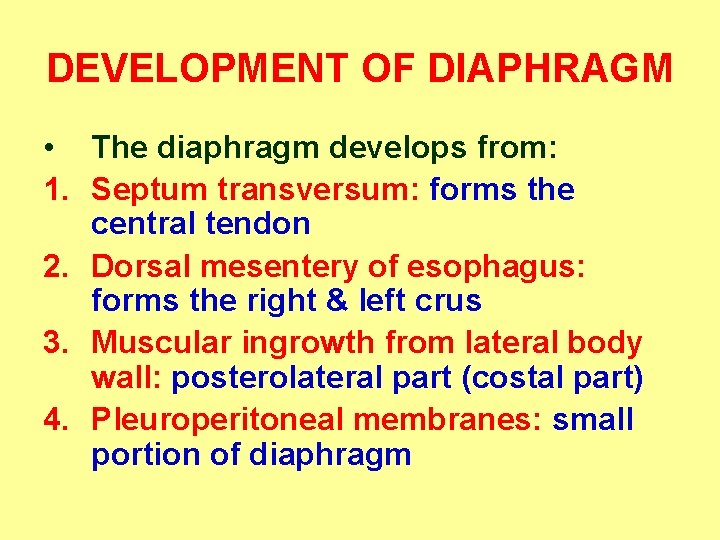 DEVELOPMENT OF DIAPHRAGM • The diaphragm develops from: 1. Septum transversum: forms the central