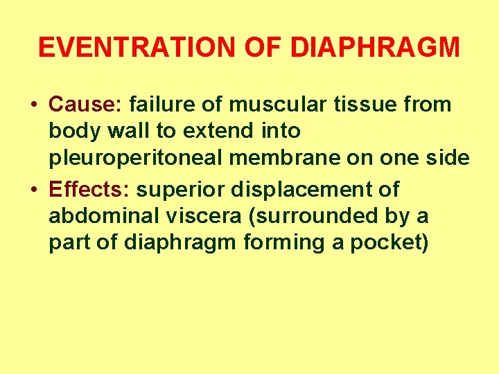 EVENTRATION OF DIAPHRAGM • Cause: failure of muscular tissue from body wall to extend
