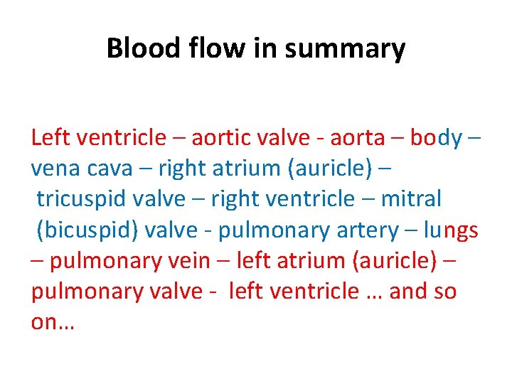 Blood flow in summary Left ventricle – aortic valve - aorta – body –
