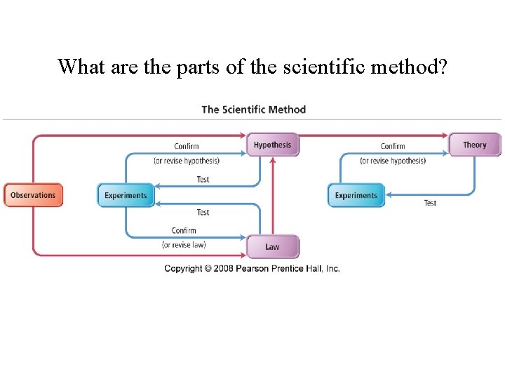What are the parts of the scientific method? 