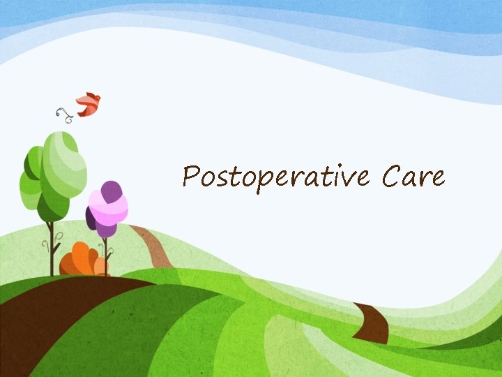Postoperative Care 