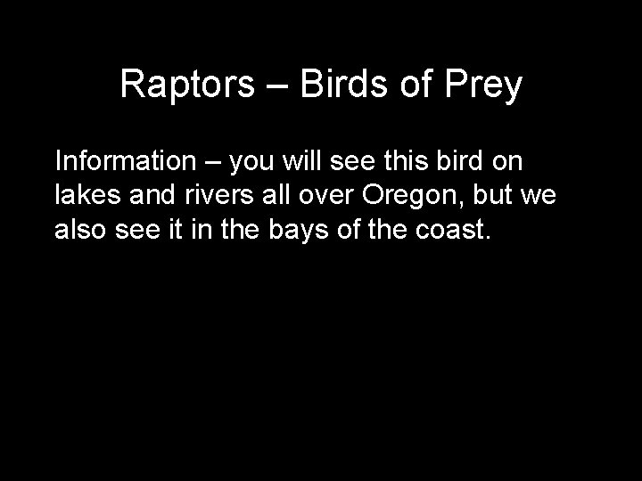 Raptors – Birds of Prey Information – you will see this bird on lakes