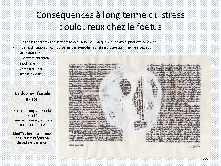 Conséquences à long terme du stress douloureux chez le foetus - les bases anatomiques