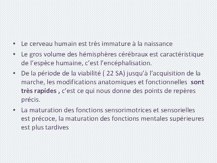  • Le cerveau humain est très immature à la naissance • Le gros