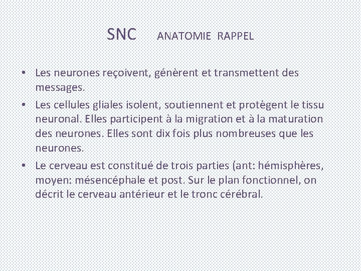 SNC ANATOMIE RAPPEL • Les neurones reçoivent, génèrent et transmettent des messages. • Les