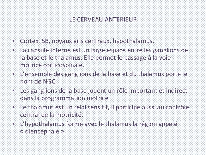LE CERVEAU ANTERIEUR • Cortex, SB, noyaux gris centraux, hypothalamus. • La capsule interne