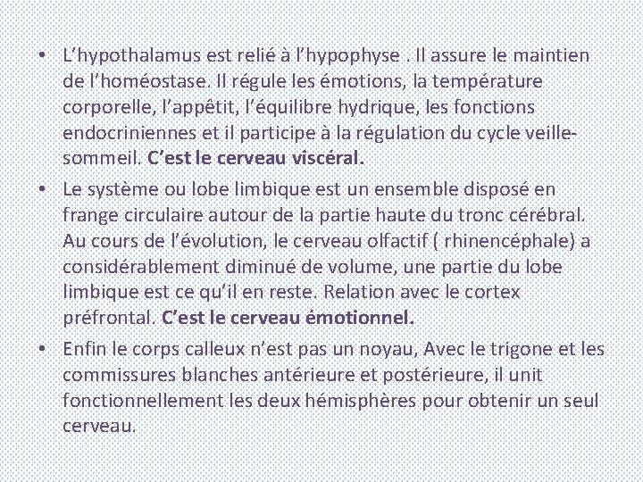  • L’hypothalamus est relié à l’hypophyse. Il assure le maintien de l’homéostase. Il
