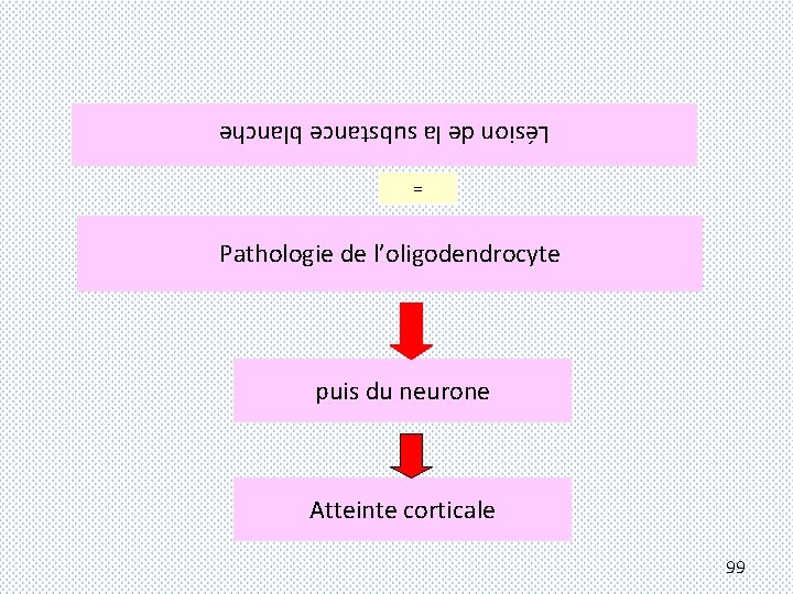 Lésion de la substance blanche = Pathologie de l’oligodendrocyte puis du neurone Atteinte corticale