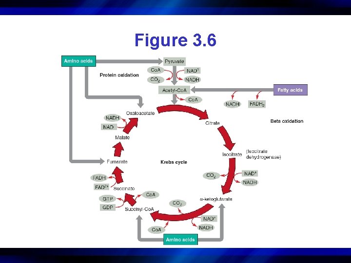 Figure 3. 6 