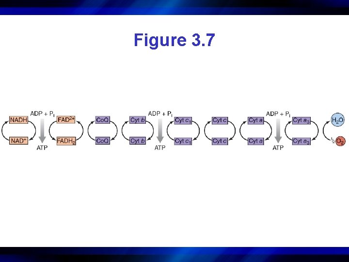 Figure 3. 7 