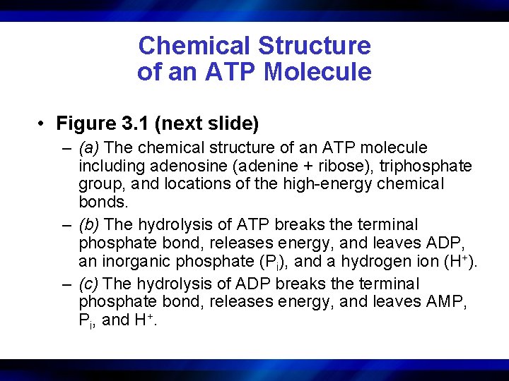 Chemical Structure of an ATP Molecule • Figure 3. 1 (next slide) – (a)