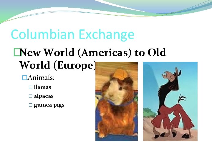 Columbian Exchange �New World (Americas) to Old World (Europe) �Animals: � llamas � alpacas