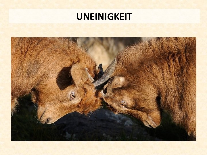 UNEINIGKEIT 