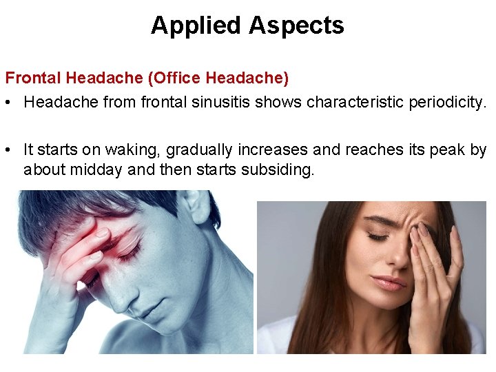 Applied Aspects Frontal Headache (Office Headache) • Headache from frontal sinusitis shows characteristic periodicity.