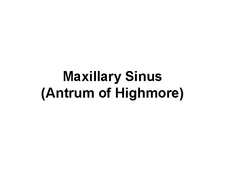 Maxillary Sinus (Antrum of Highmore) 