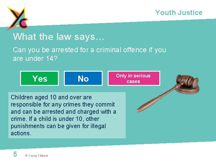 Youth Justice What the law says… Can you be arrested for a criminal offence