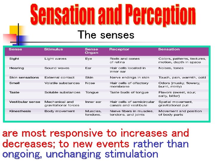 The senses are most responsive to increases and decreases; to new events rather than