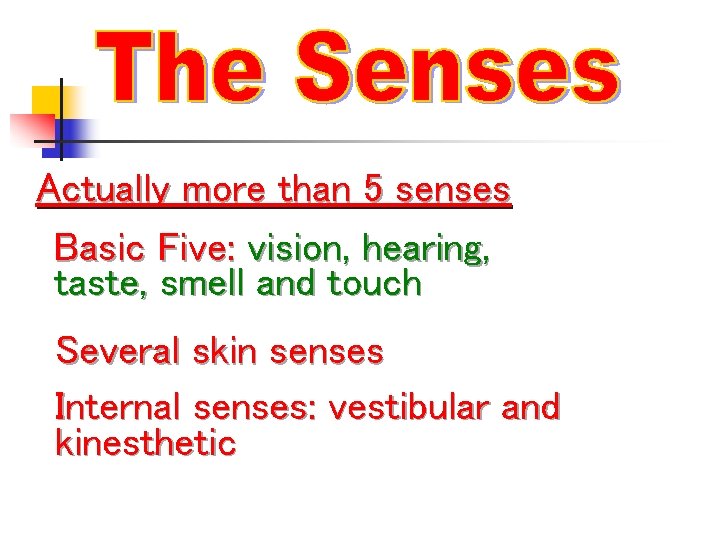 Actually more than 5 senses Basic Five: vision, hearing, taste, smell and touch Several