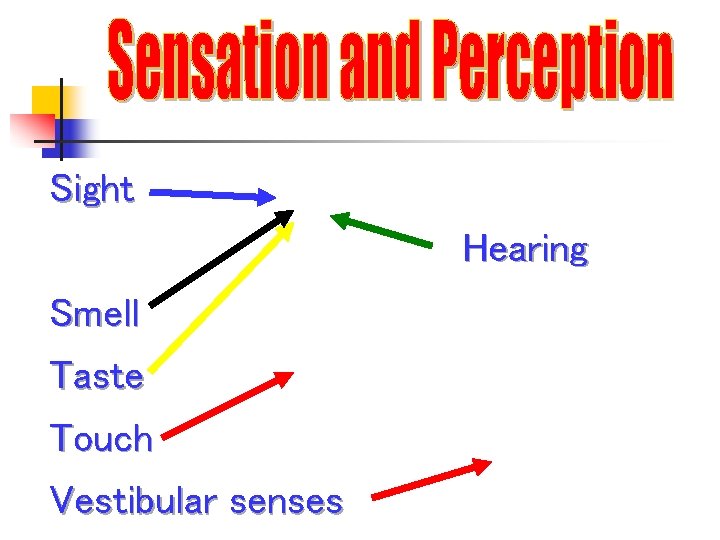 Sight Hearing Smell Taste Touch Vestibular senses 